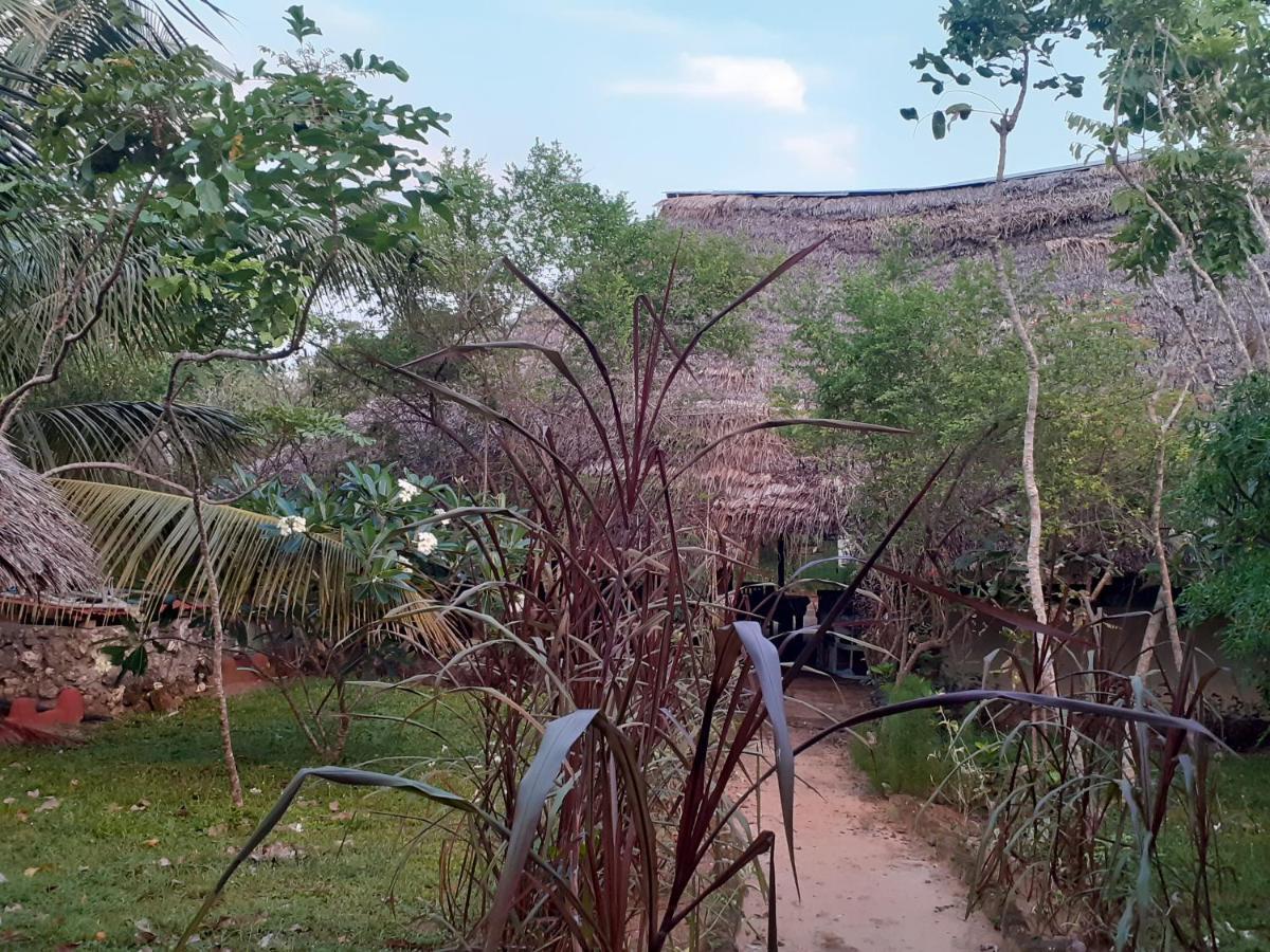 Gecko Nature Lodge Home Of Swahili Divers The Best Dive Center And Famous Gecko Restaurant Verani Exterior foto