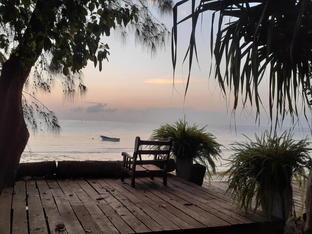 Gecko Nature Lodge Home Of Swahili Divers The Best Dive Center And Famous Gecko Restaurant Verani Exterior foto