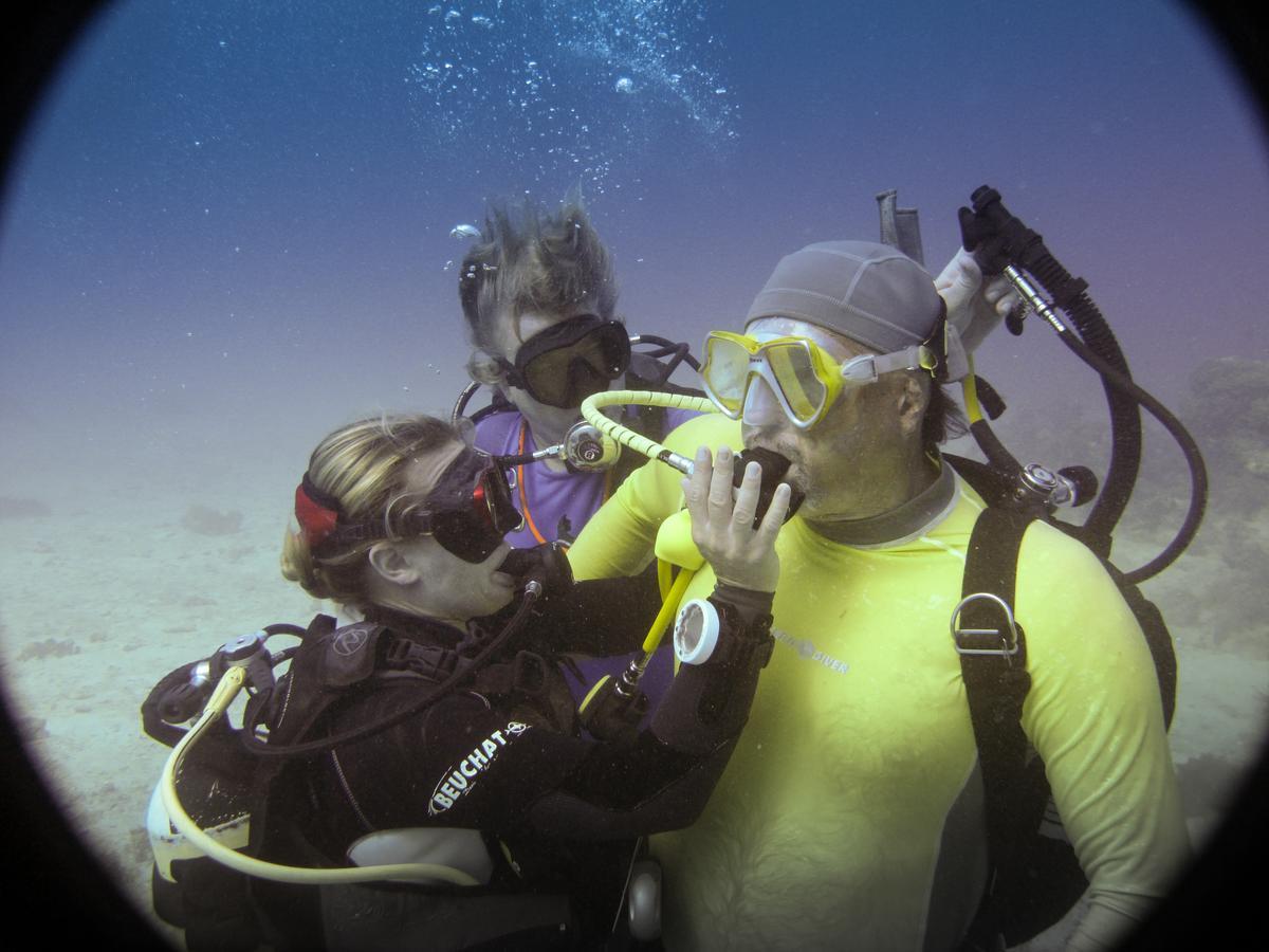 Gecko Nature Lodge Home Of Swahili Divers The Best Dive Center And Famous Gecko Restaurant Verani Exterior foto