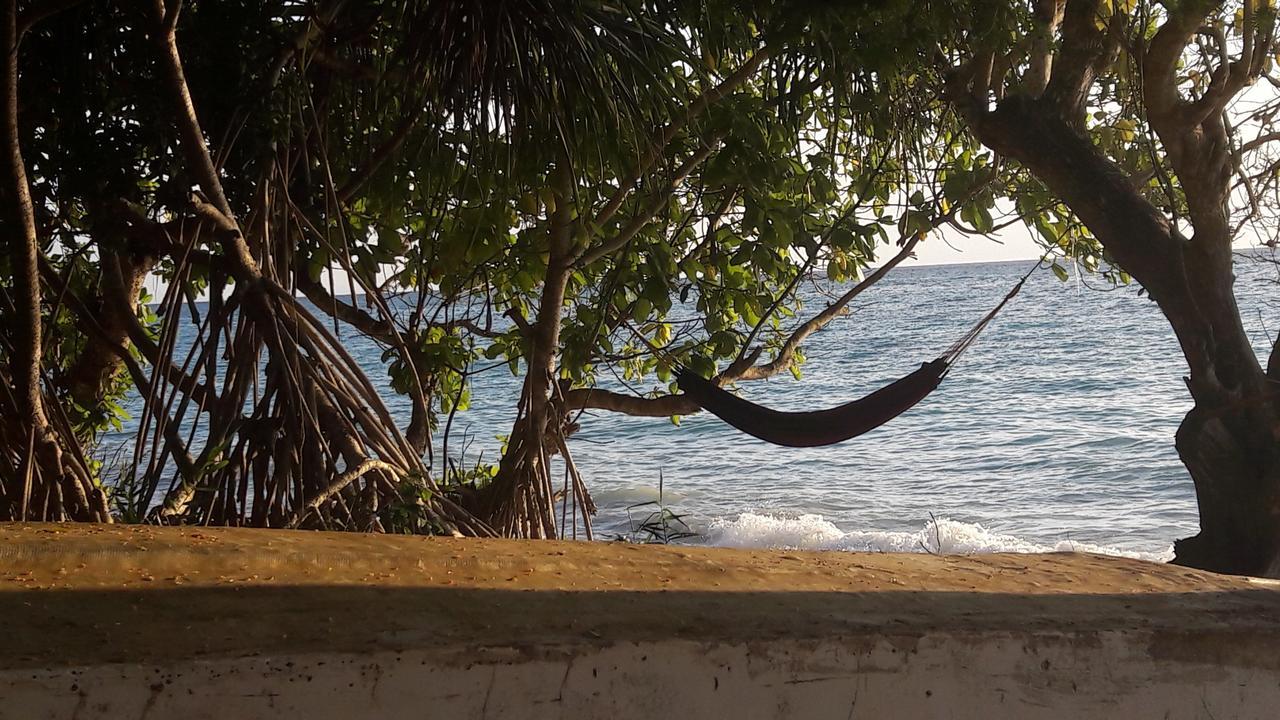 Gecko Nature Lodge Home Of Swahili Divers The Best Dive Center And Famous Gecko Restaurant Verani Exterior foto