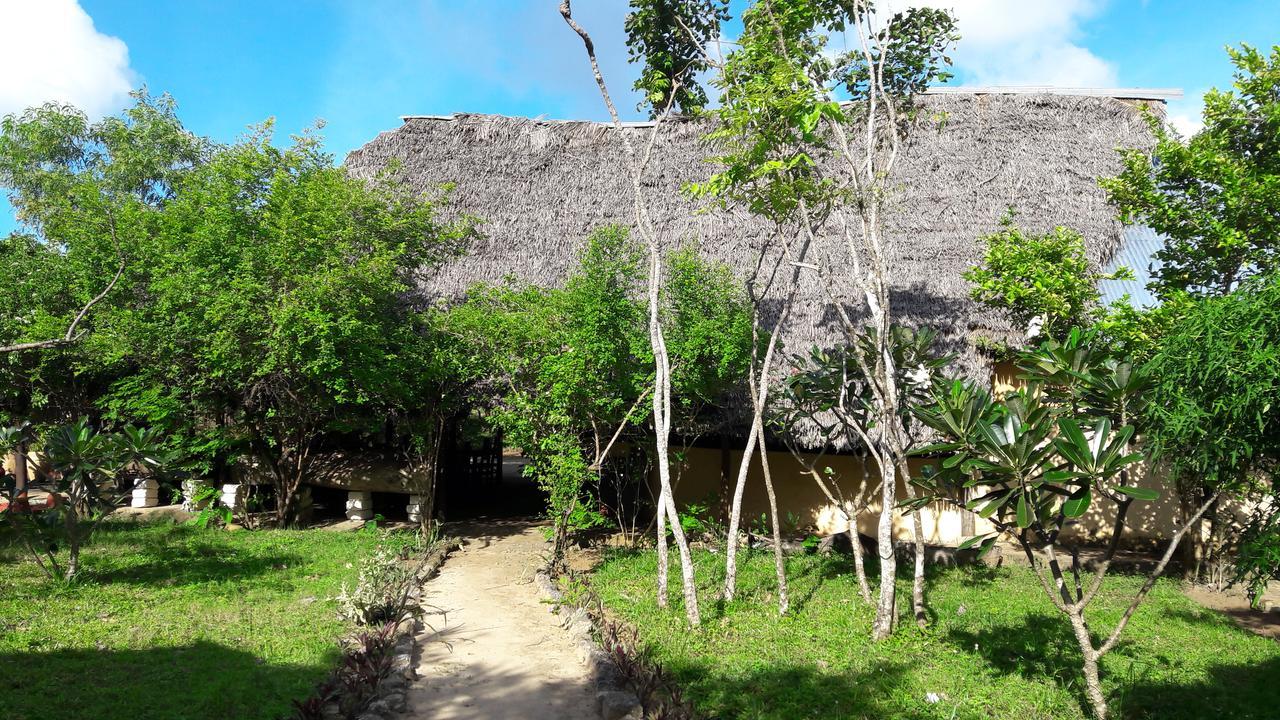 Gecko Nature Lodge Home Of Swahili Divers The Best Dive Center And Famous Gecko Restaurant Verani Exterior foto