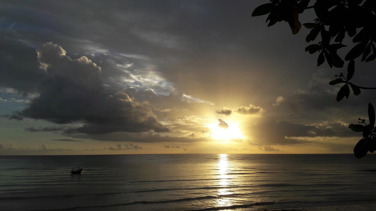 Gecko Nature Lodge Home Of Swahili Divers The Best Dive Center And Famous Gecko Restaurant Verani Exterior foto